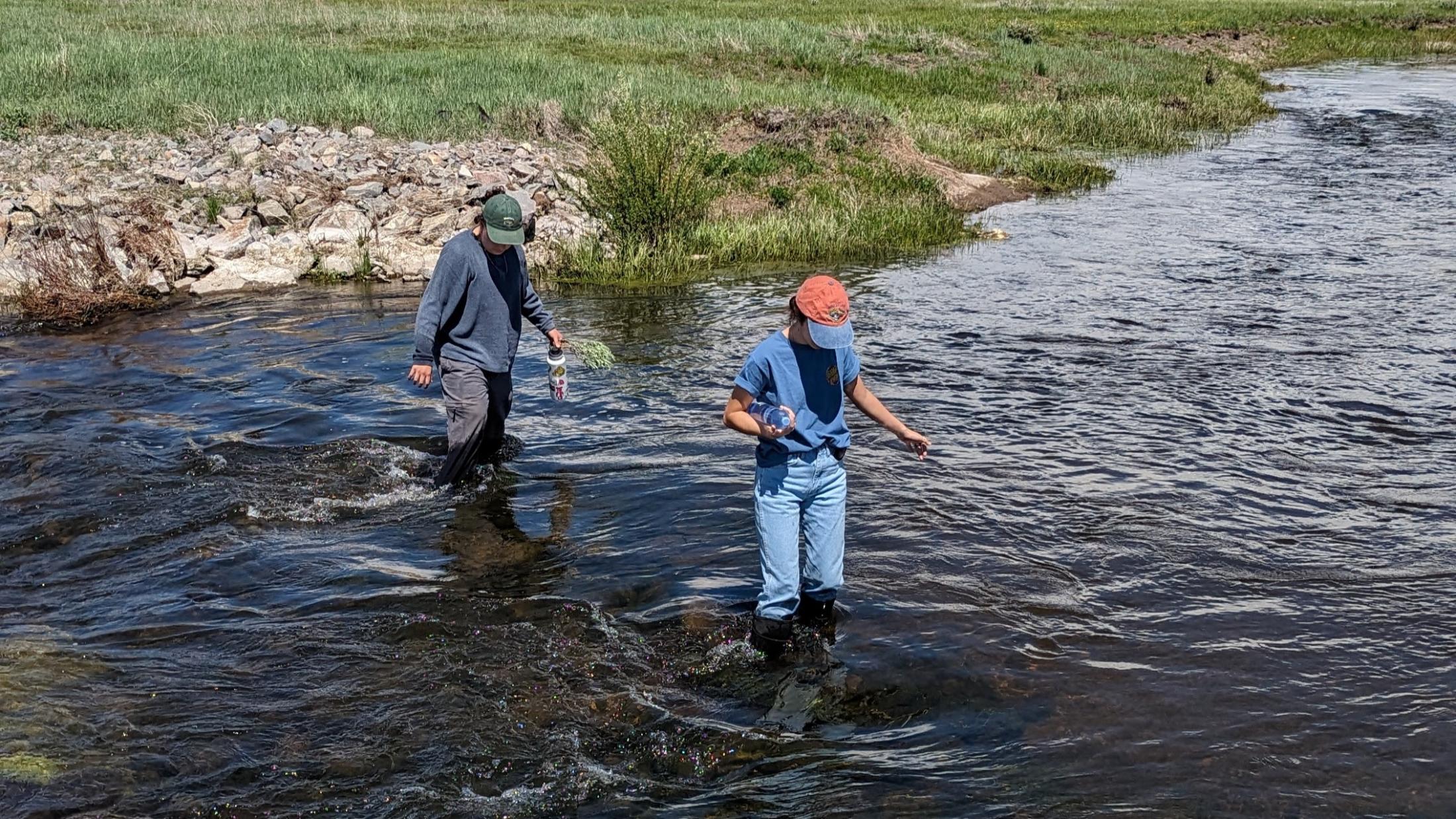 Students walking through a creek